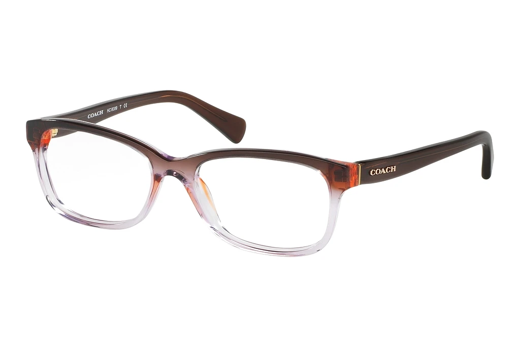 Coach HC6089 5401 Transparent Purple Gradient Coach HC6089 5401 Transparent Purple Gradient