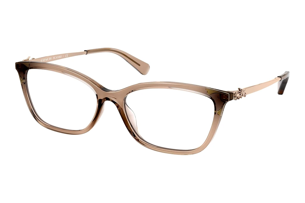 Coach HC6146U 5561 Transparent Brown Coach HC6146U 5561 Transparent Brown