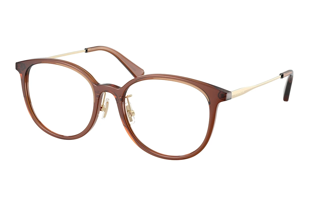 Coach HC6160D 5847 Transparent Brown Coach HC6160D 5847 Transparent Brown