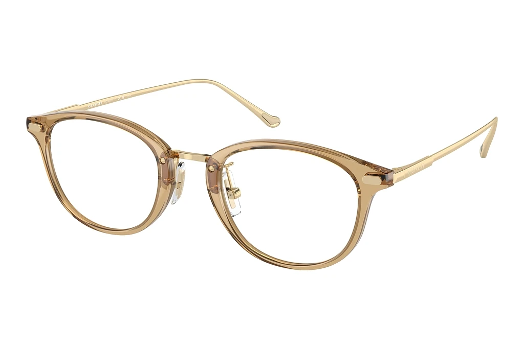 Coach HC6230D 5736 Transparent Fawn Coach HC6230D 5736 Transparent Fawn