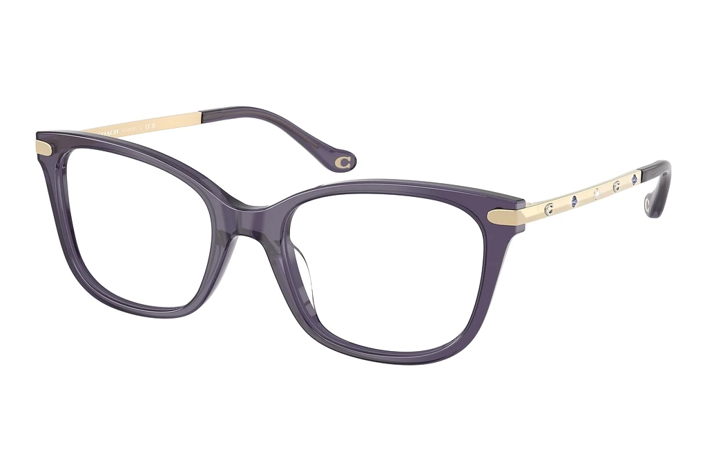 Coach HC6261BU 5522 Milky Eggplant Coach HC6261BU 5522 Milky Eggplant