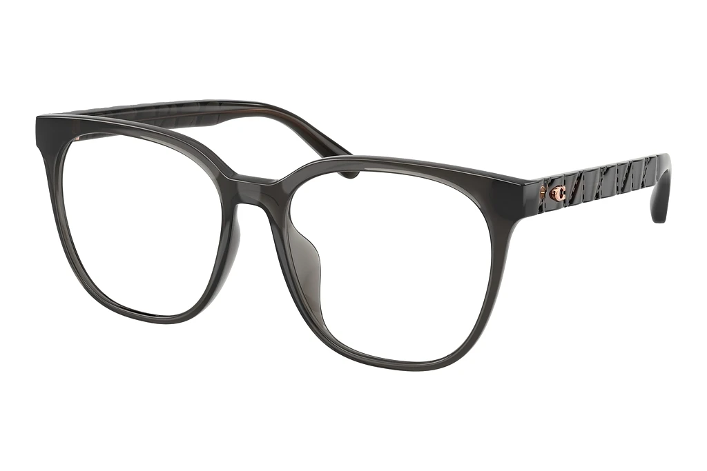 Coach HC6267D 5897 Transparent Dark Grey Coach HC6267D 5897 Transparent Dark Grey