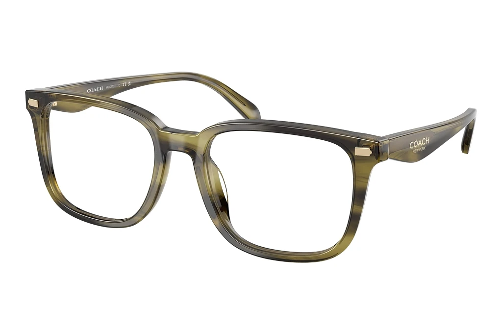 Coach HC6276U 5907 Striped Olive Coach HC6276U 5907 Striped Olive