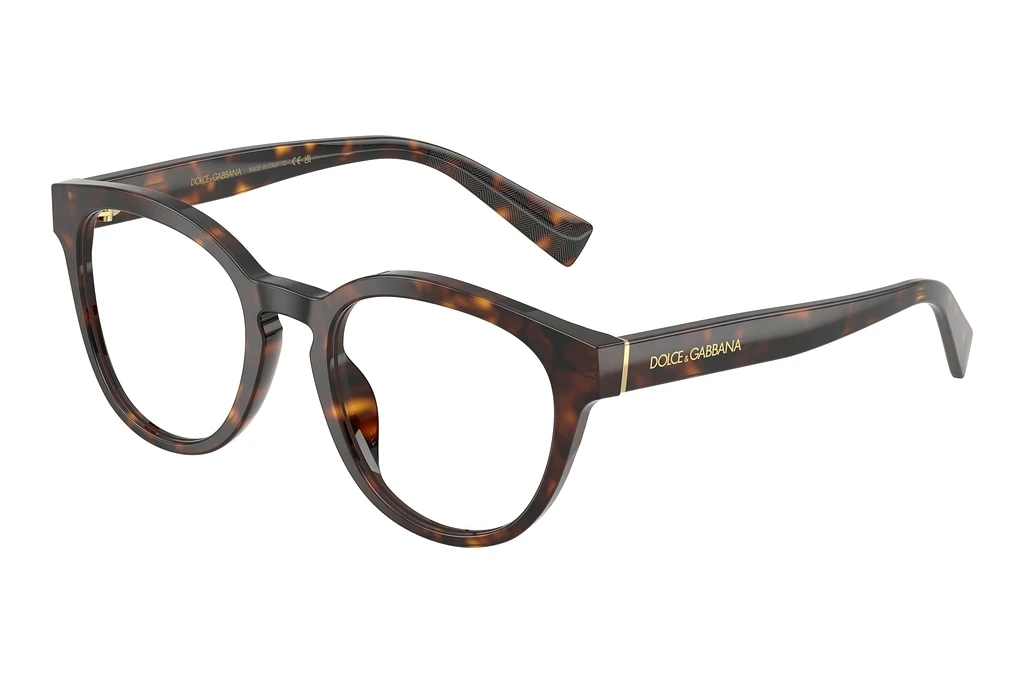 Dolce & Gabbana   DG3421 502 Havana Dolce & Gabbana   DG3421 502 Havana