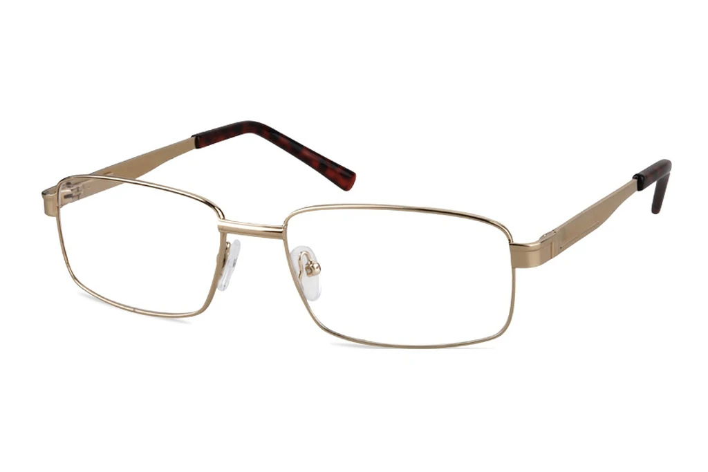 Fraymz   639 B Gold Fraymz   639 B Gold