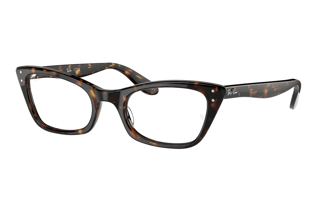 Ray-Ban   RX5499 2012 Havana Ray-Ban   RX5499 2012 Havana