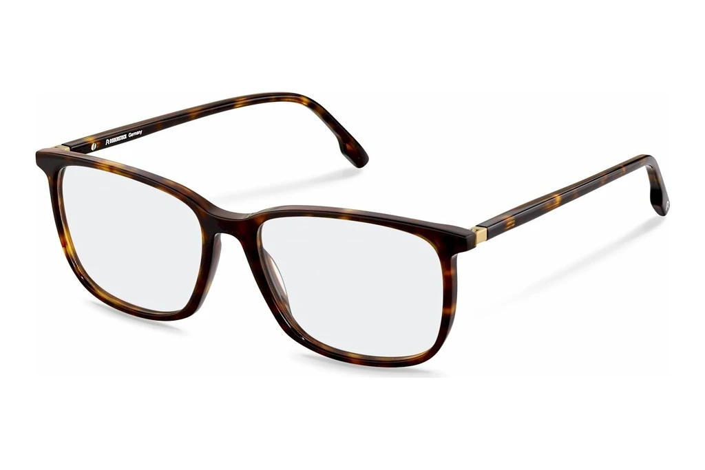 Rodenstock R5360 B000 havana, gold Rodenstock R5360 B000 havana, gold