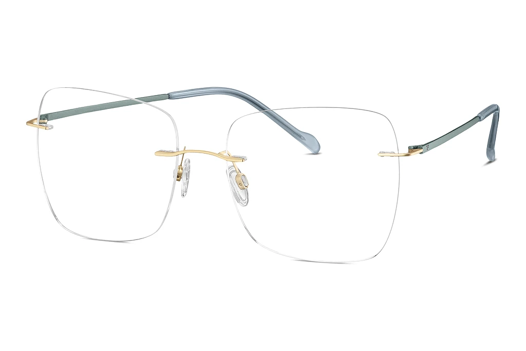 TITANFLEX EBT 823021 27 gold TITANFLEX EBT 823021 27 gold