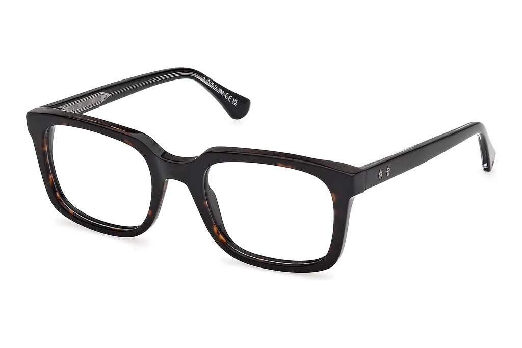 Web Eyewear   WE5445 056 Havanna/Einfarbig Web Eyewear   WE5445 056 Havanna/Einfarbig