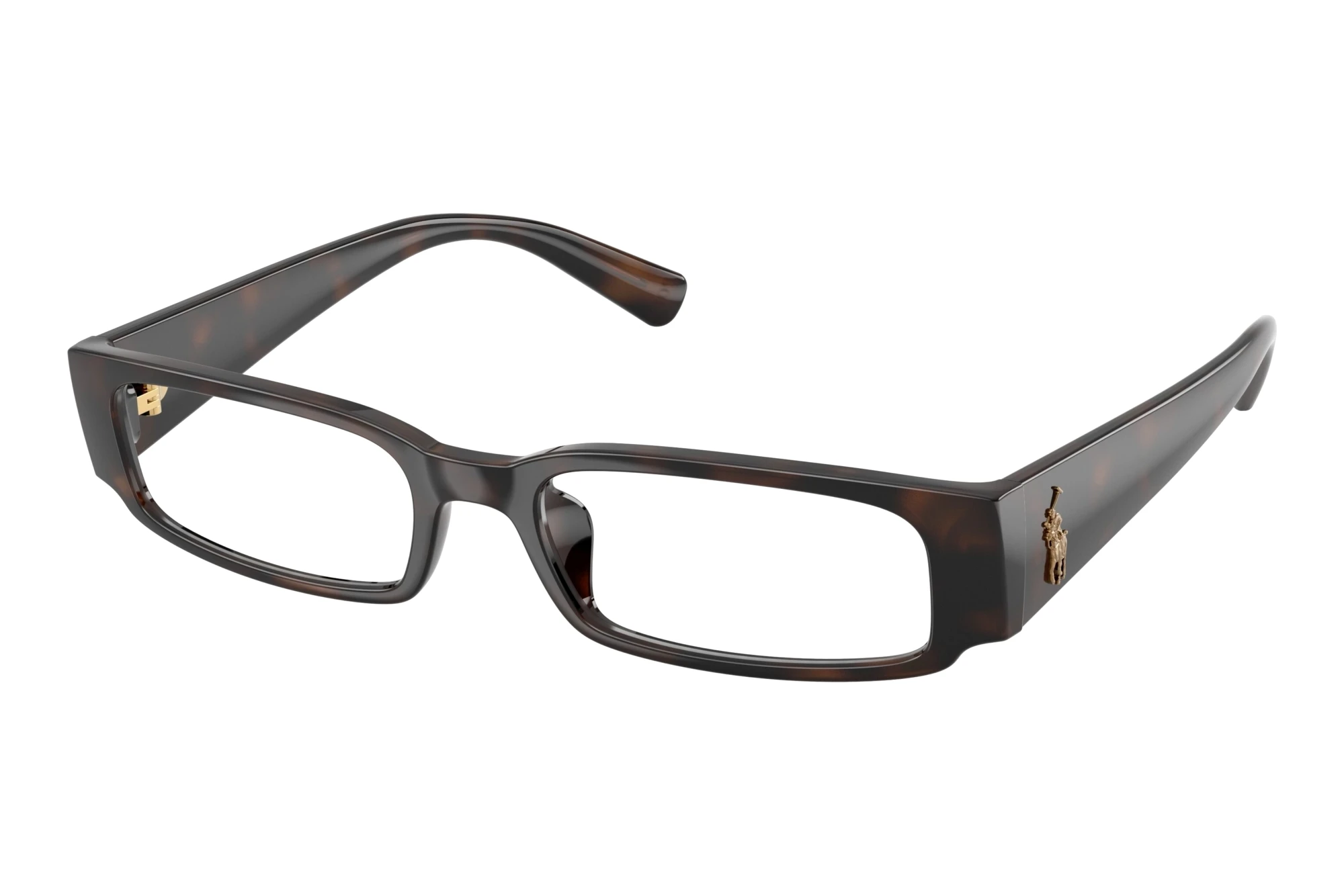 Polo PH2312U 5860 Shiny Dark Havana Polo PH2312U 5860 Shiny Dark Havana