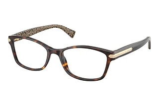 Coach HC6065 5291 Dark Tortoise