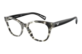 Emporio Armani EA3162 5193