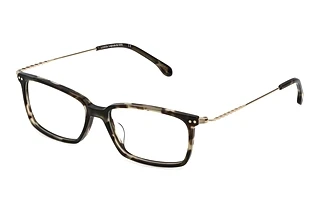 Lozza VL4266 092I SHINY GREEN HAVANA