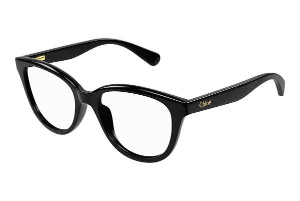 Brille Chloé CC0021O 001