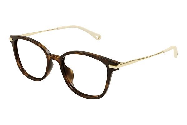 Brille Chloé CH0219OA 002