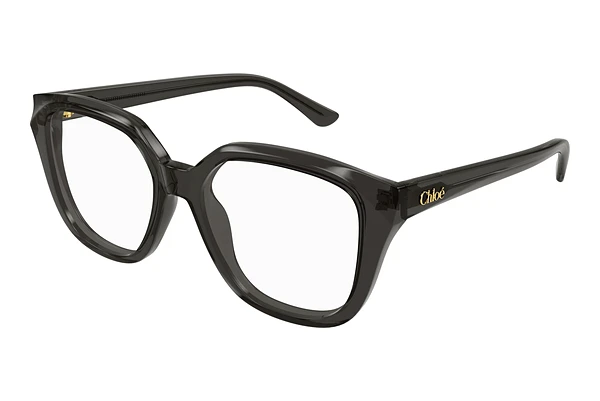 Brille Chloé CH0293O 001