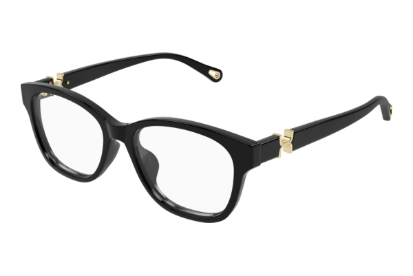Brille Chloé CH0336OA 001
