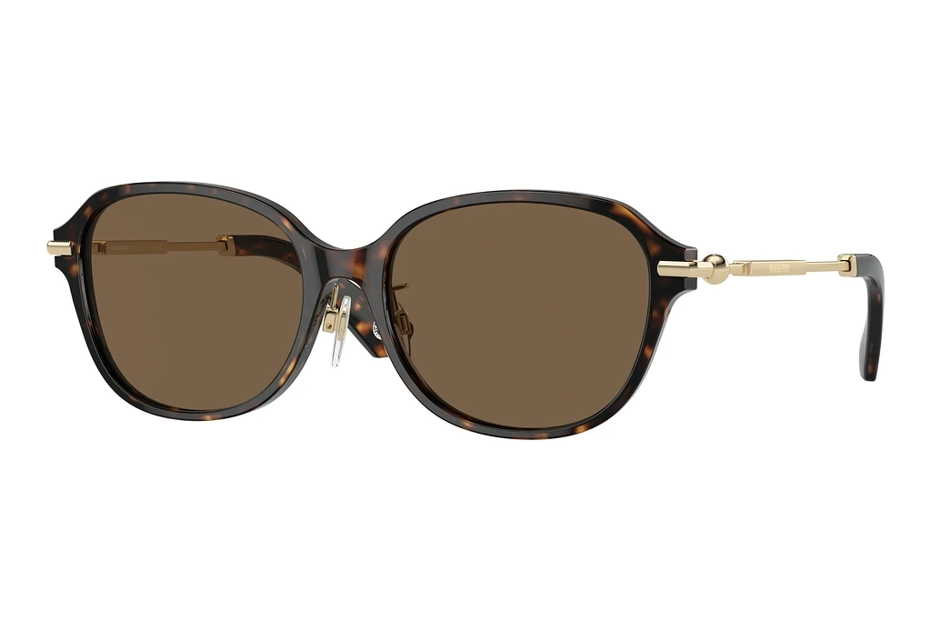 Burberry   BE4429D 300273 Dark BrownDark Havana Burberry   BE4429D 300273 Dark BrownDark Havana