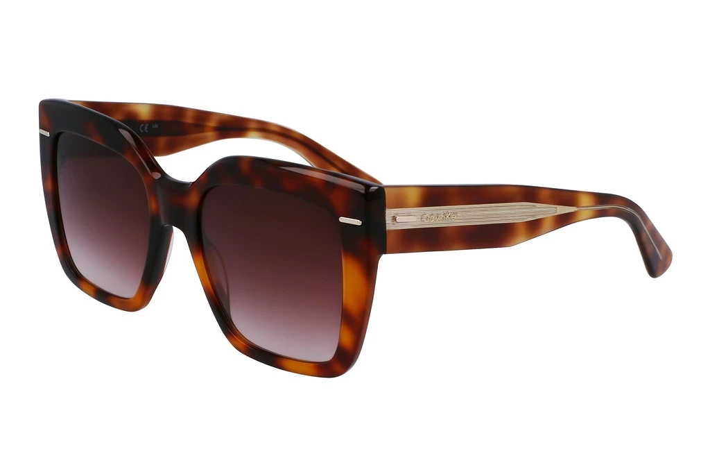 Calvin Klein   CK23508S 220 BROWN BROWN HAVANA Calvin Klein   CK23508S 220 BROWN BROWN HAVANA
