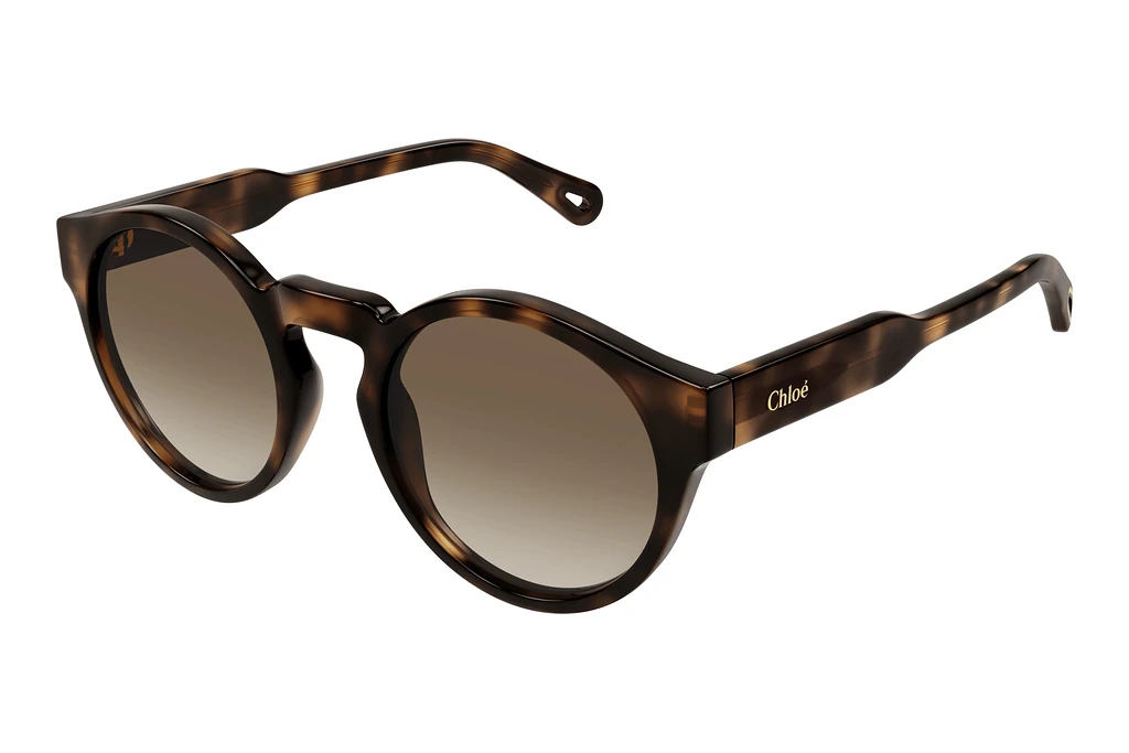 Chloé CH0158S 002 HAVANA Chloé CH0158S 002 HAVANA