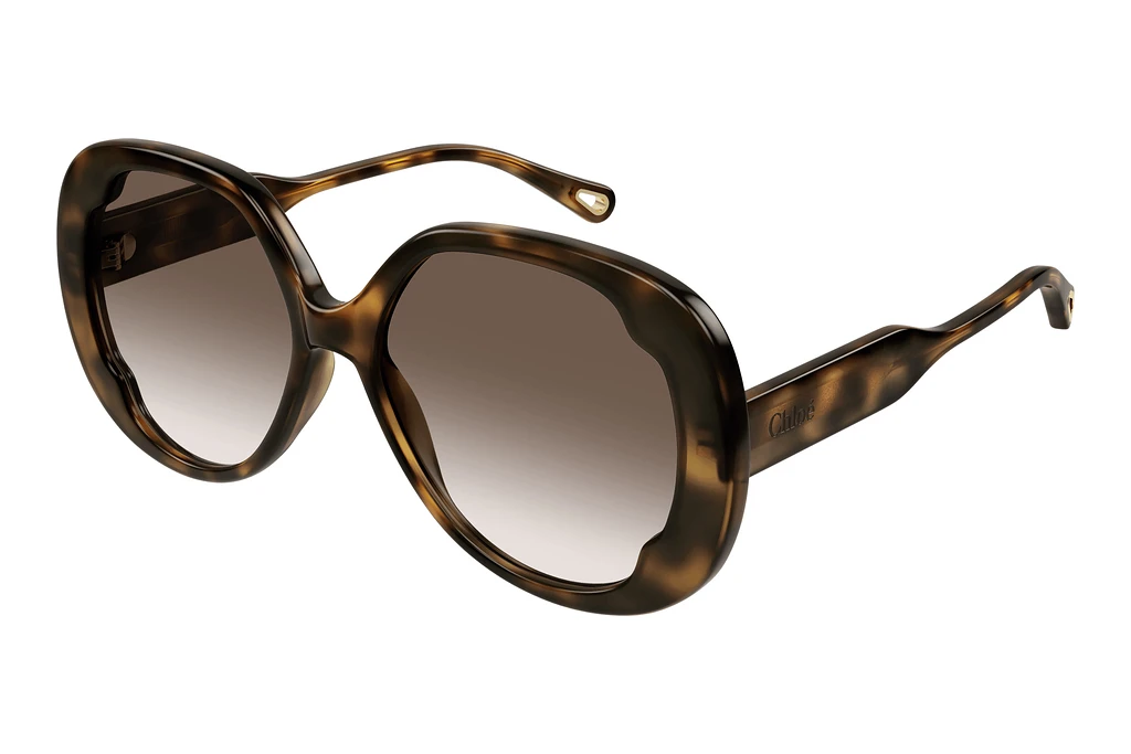 Chloé   CH0195S 002 HAVANA Chloé   CH0195S 002 HAVANA