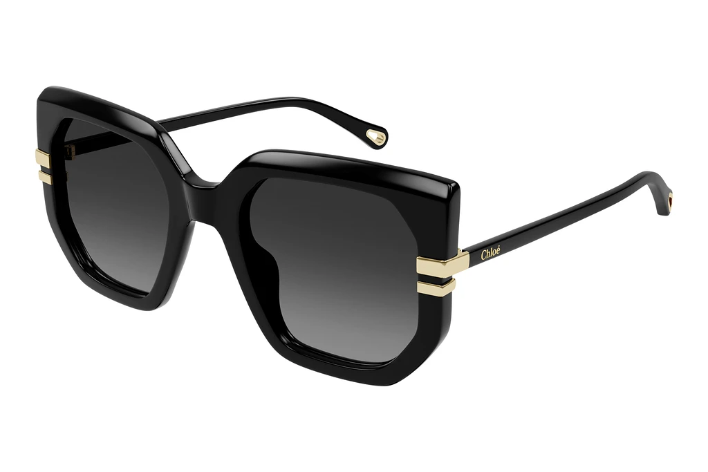 Chloé CH0240S 001 BLACK Chloé CH0240S 001 BLACK
