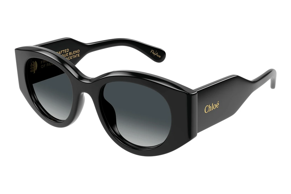 Chloé CH0251S 001 BLACK Chloé CH0251S 001 BLACK