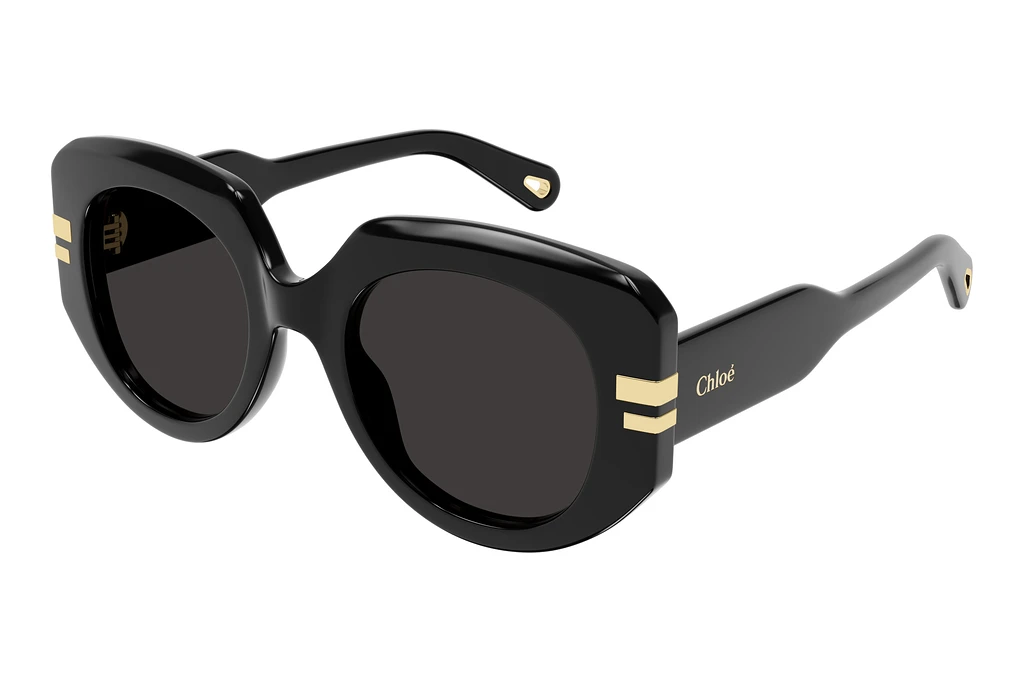 Chloé CH0257S 001 BLACK Chloé CH0257S 001 BLACK