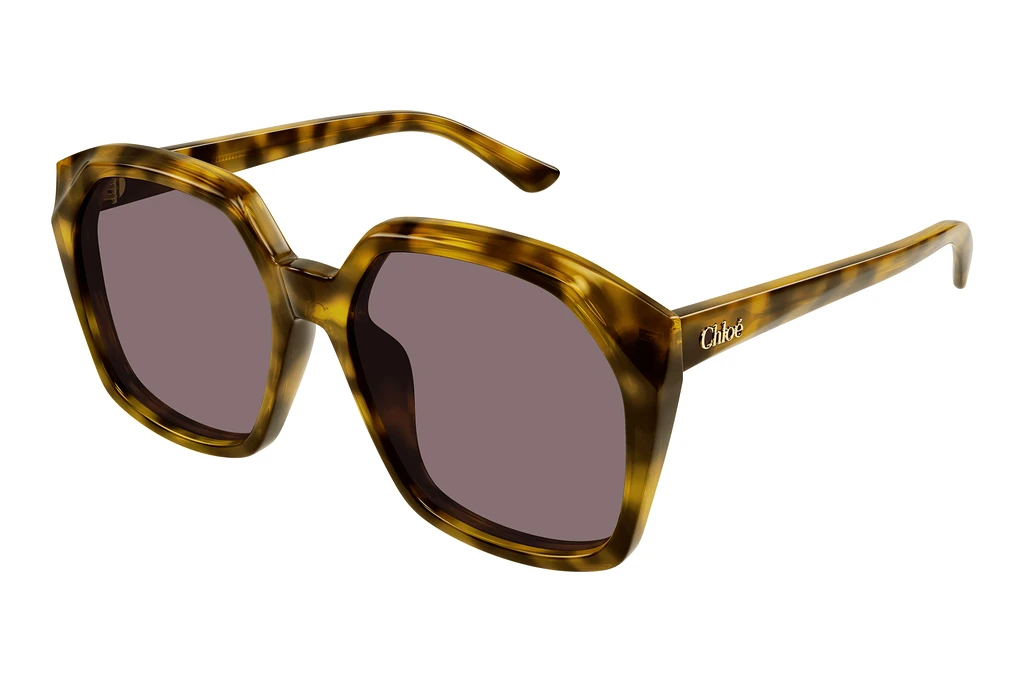 Chloé CH0280S 004 HAVANA Chloé CH0280S 004 HAVANA