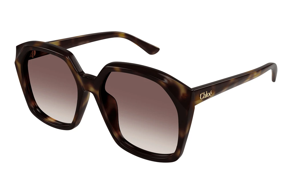 Chloé CH0280S 006 HAVANA Chloé CH0280S 006 HAVANA
