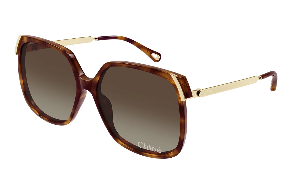 Chloé CH0286S 002 HAVANA Chloé CH0286S 002 HAVANA