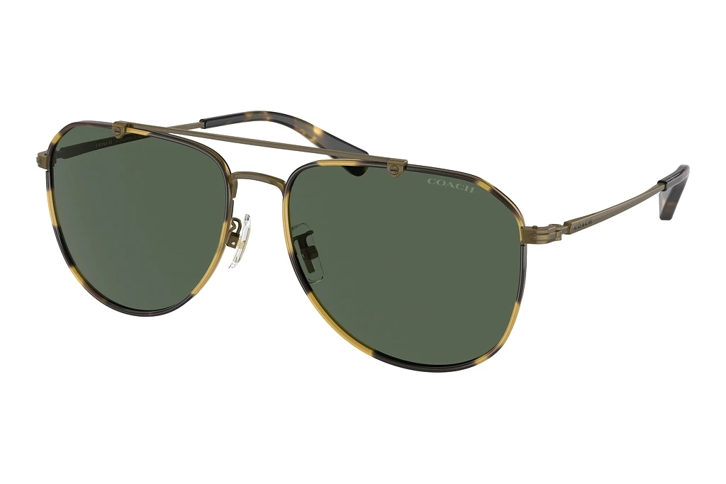 Coach HC7164 933371 Green SolidAntique Gold/Tokyo Tortoise Coach HC7164 933371 Green SolidAntique Gold/Tokyo Tortoise