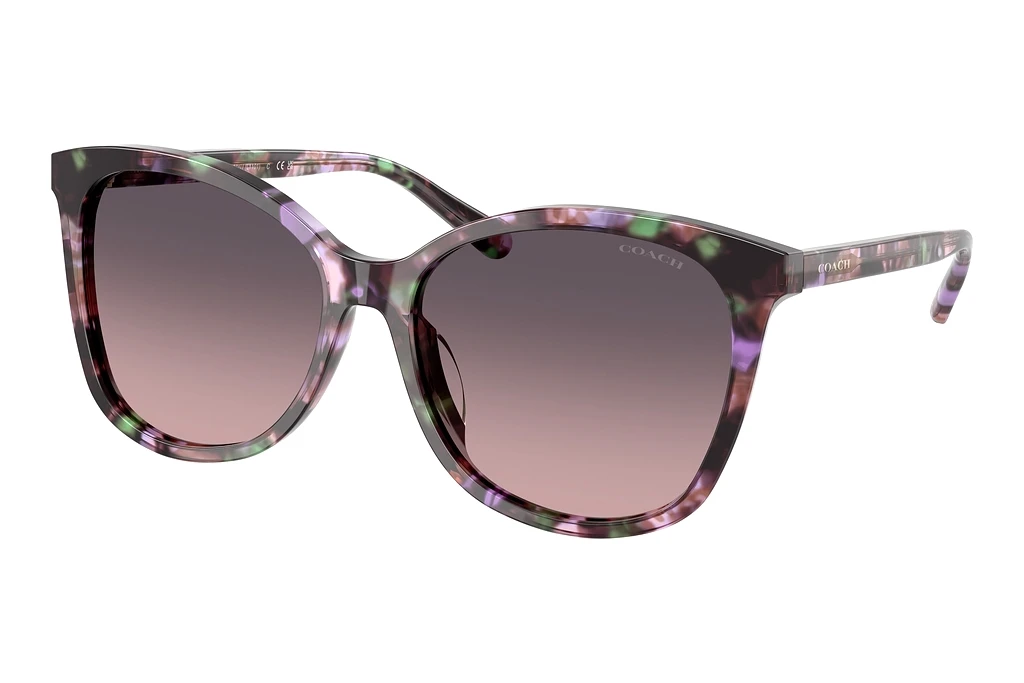 Coach HC8271U 584346 Smoke Purple GradientAmethyst Pearl Tortoise Coach HC8271U 584346 Smoke Purple GradientAmethyst Pearl Tortoise