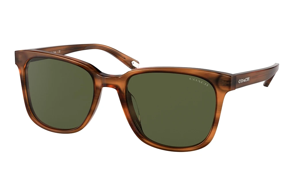 Coach HC8313U 558171 Dark Green SolidAmber Horn Coach HC8313U 558171 Dark Green SolidAmber Horn