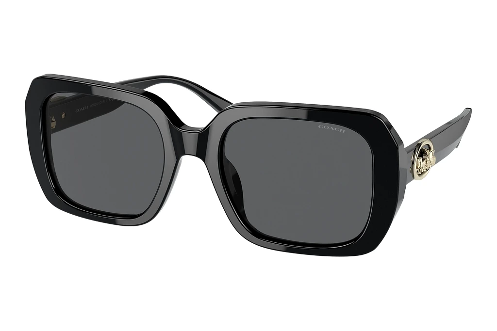 Coach HC8329U 500287 Dark Grey SolidBlack Coach HC8329U 500287 Dark Grey SolidBlack