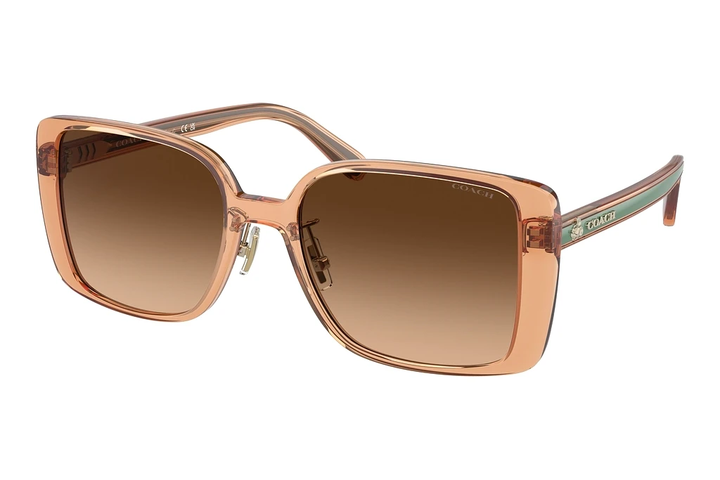 Coach HC8375 574974 Brown GradientTransparent Saddle Coach HC8375 574974 Brown GradientTransparent Saddle