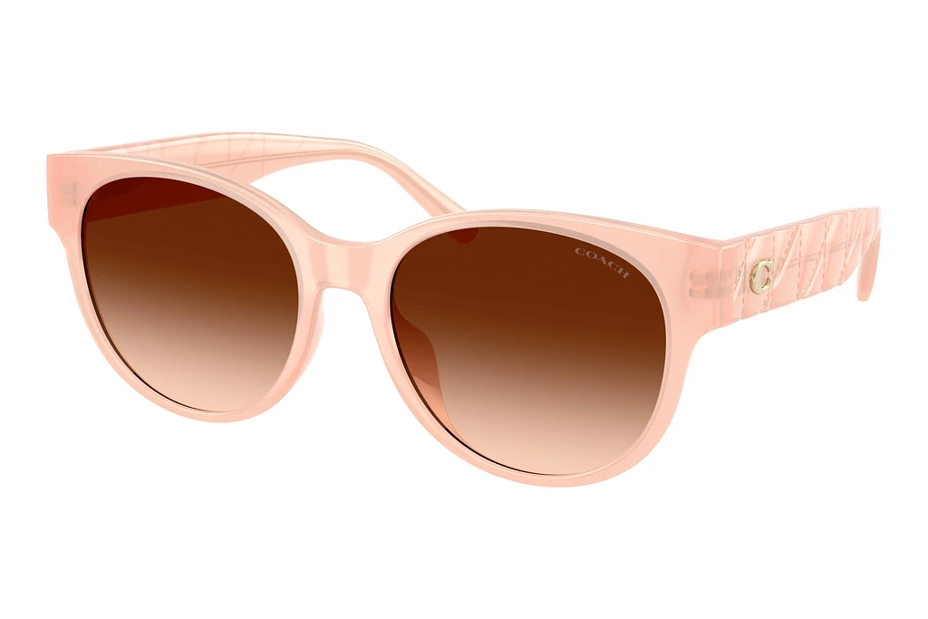 Coach HC8430D 511374 Brown GradientMilky Light Pink Coach HC8430D 511374 Brown GradientMilky Light Pink