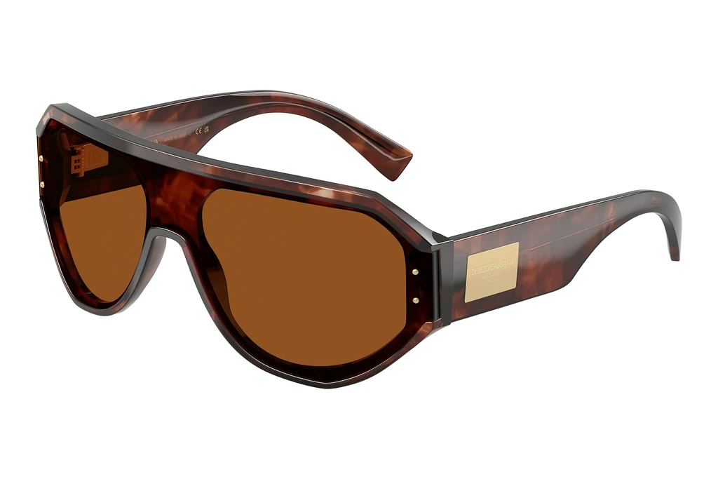 Dolce & Gabbana   DG4481 322273 Dark BrownDark Red Havana Dolce & Gabbana   DG4481 322273 Dark BrownDark Red Havana