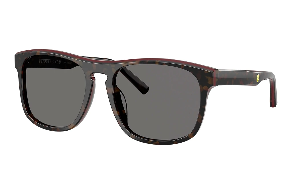 Ferrari Scuderia FZ6020U 742/81 Polar Dark GreyHavana/Red Ferrari Scuderia FZ6020U 742/81 Polar Dark GreyHavana/Red