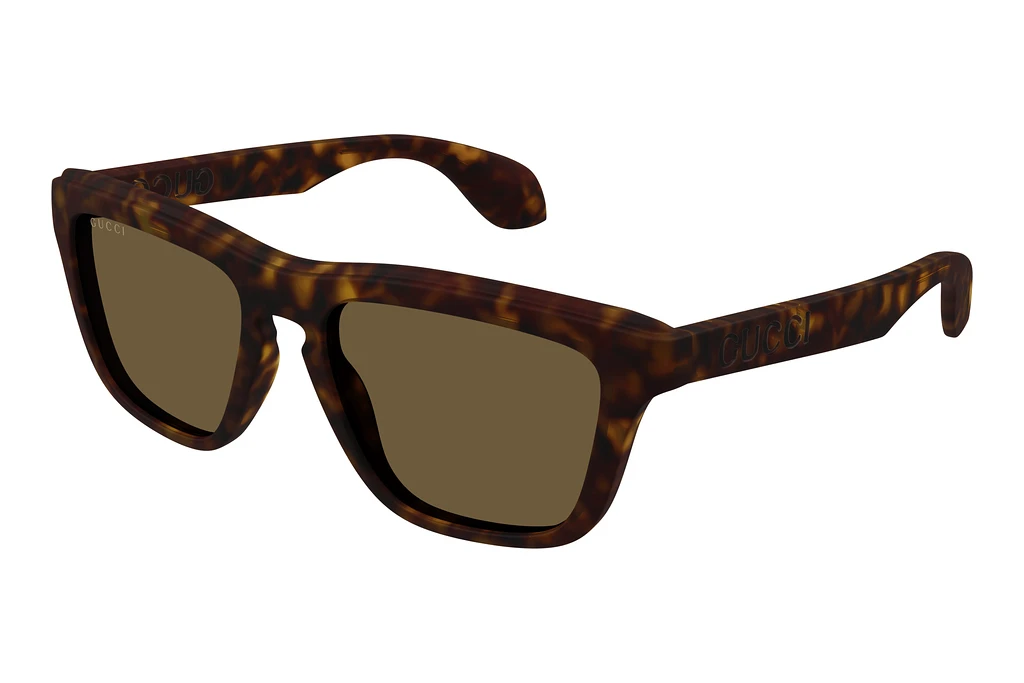 Gucci   GG1571S 002 HAVANA Gucci   GG1571S 002 HAVANA