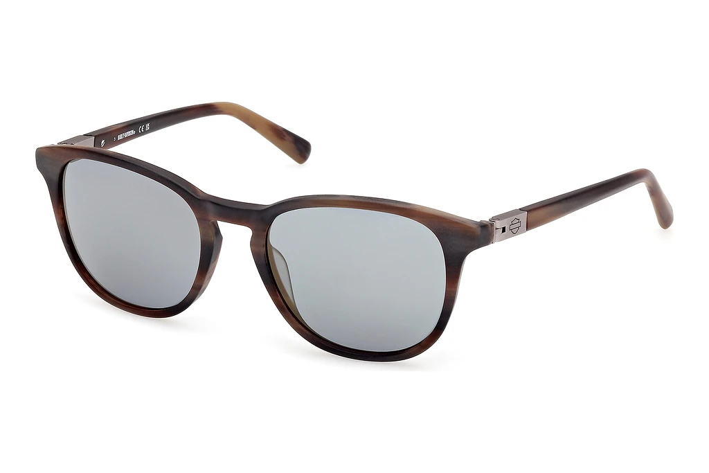 Harley-Davidson HD00019 50L roviex verspiegeltHellbraun /Horn Harley-Davidson HD00019 50L roviex verspiegeltHellbraun /Horn