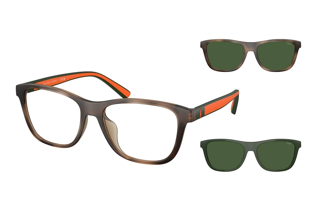 Polo   PH4228U 607071 Bottle GreenMatte Dark Havana Polo   PH4228U 607071 Bottle GreenMatte Dark Havana