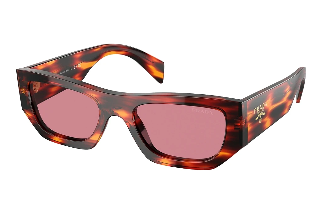 Prada   PR A01S 13O80B Dark VioletHavana Red Prada   PR A01S 13O80B Dark VioletHavana Red