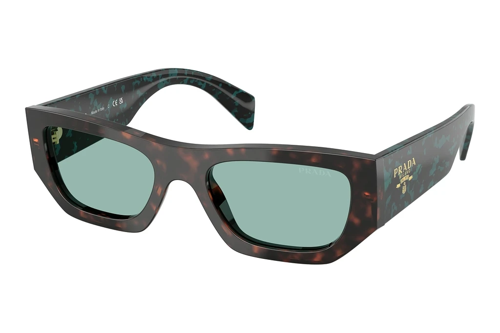 Prada   PR A01S 18Z40K Petrol GreenRoot Tortoise Prada   PR A01S 18Z40K Petrol GreenRoot Tortoise