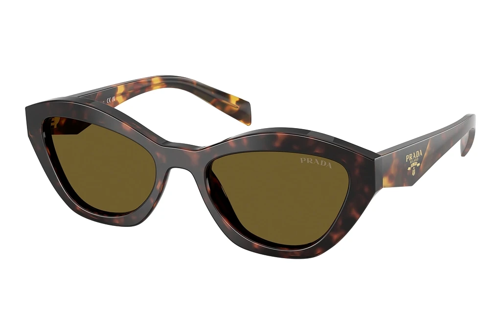 Prada PR A02S 17N09Z Dark BrownRoot Tortoise Prada PR A02S 17N09Z Dark BrownRoot Tortoise