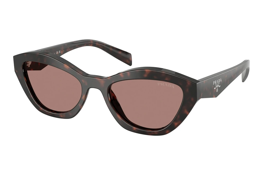 Prada PR A02S 17N60B Light BrownRoot Tortoise Prada PR A02S 17N60B Light BrownRoot Tortoise