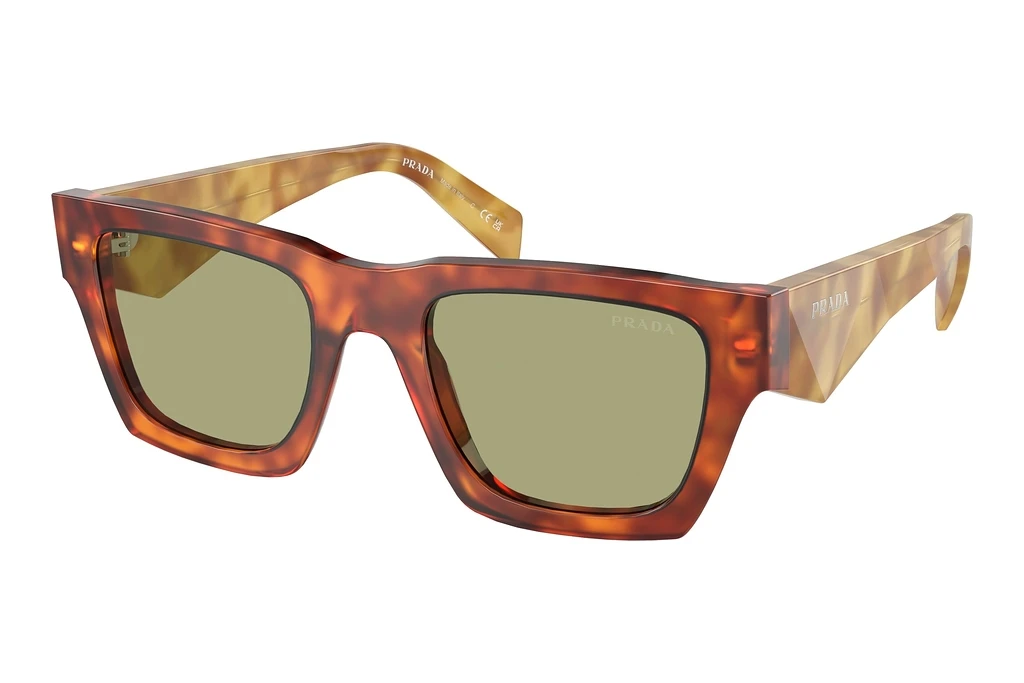 Prada   PR A06S 11P60C GreenCognac Tortoise Prada   PR A06S 11P60C GreenCognac Tortoise