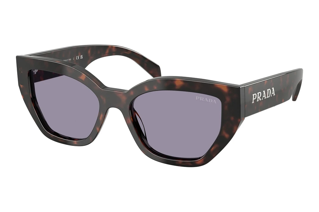 Prada   PR A09S 17N03N GreyRoot Tortoise Prada   PR A09S 17N03N GreyRoot Tortoise