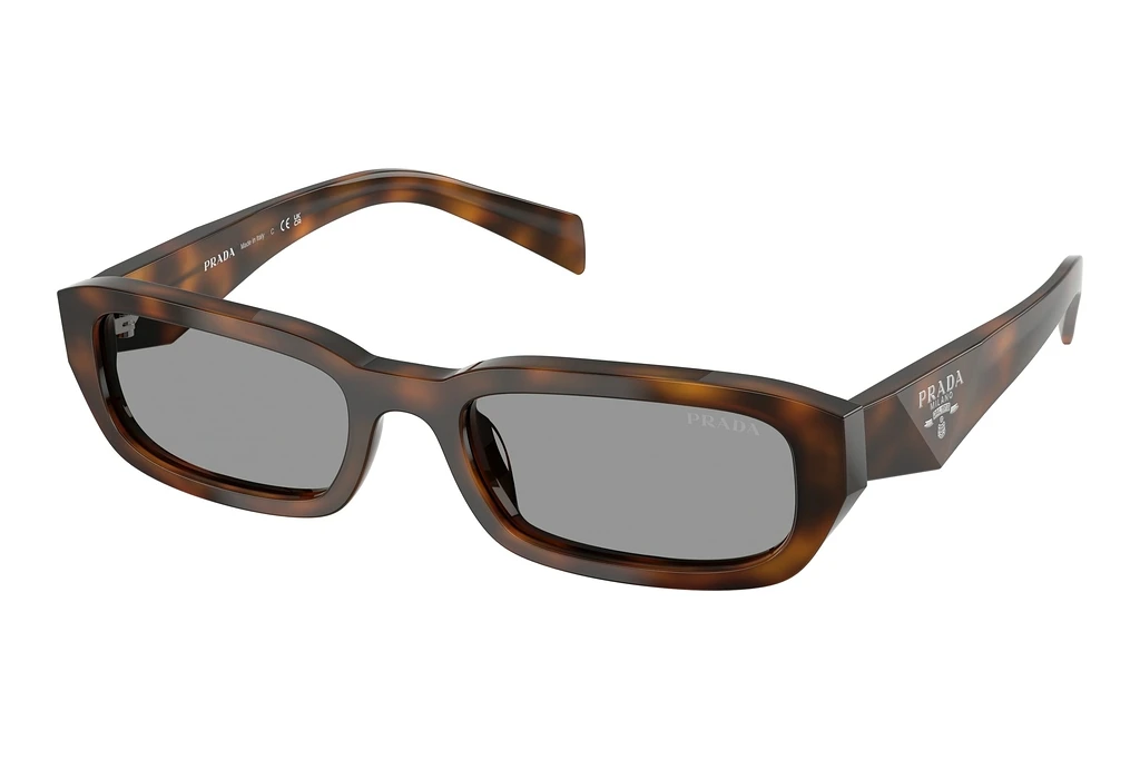 Prada PR B06S 20D50Q GreyJuniper Tortoise Prada PR B06S 20D50Q GreyJuniper Tortoise