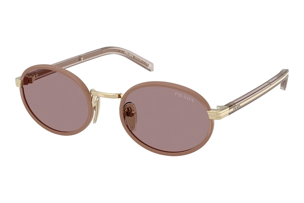 Prada   PR B56S 24E20I Light Purple BrownPecan Prada   PR B56S 24E20I Light Purple BrownPecan